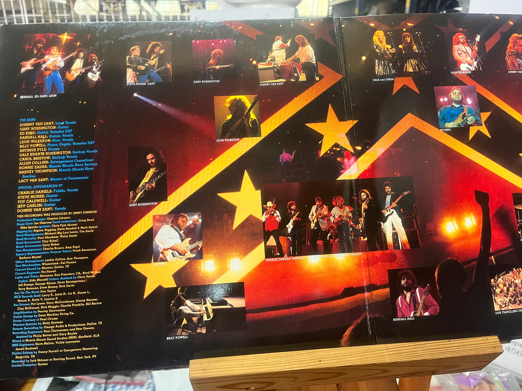 Lynyrd Skynyrd:Southern by the grace of God 2lp live