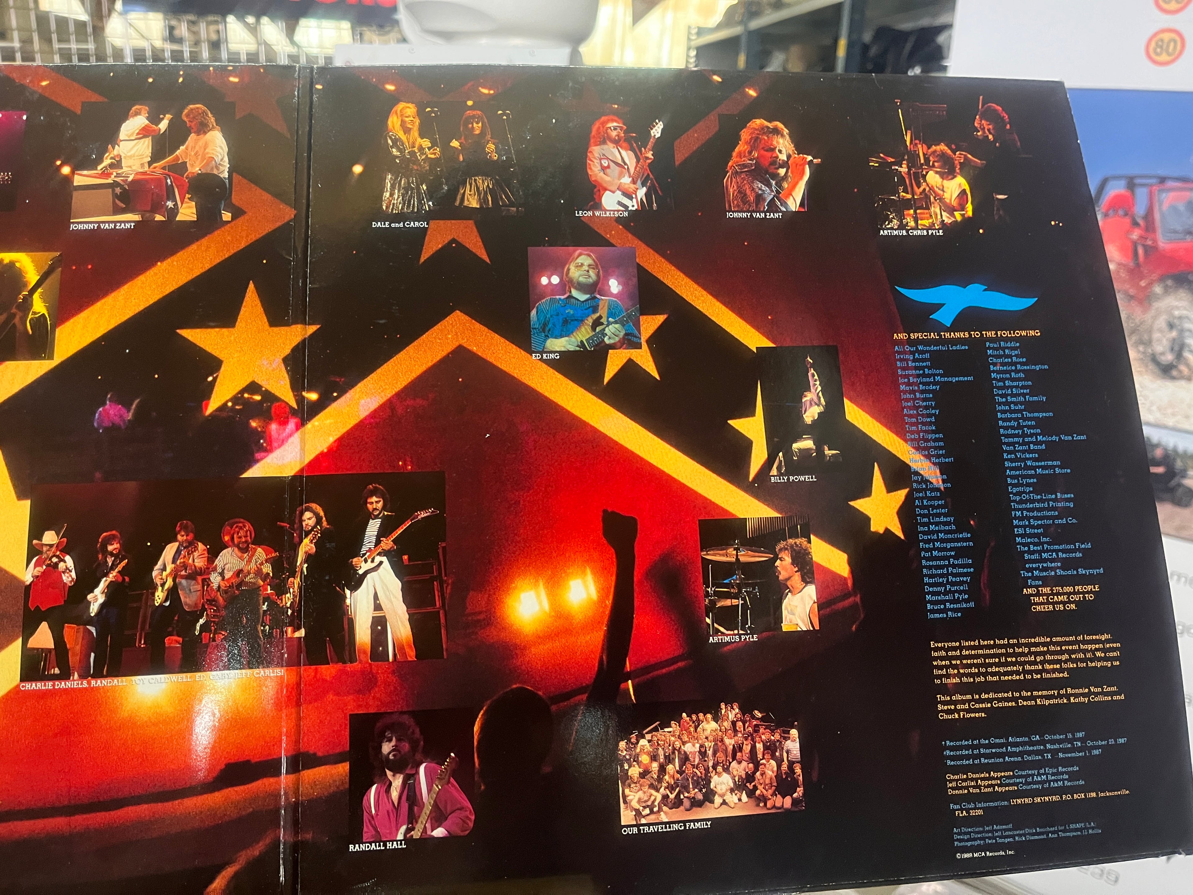 Lynyrd Skynyrd:Southern by the grace of God 2lp live