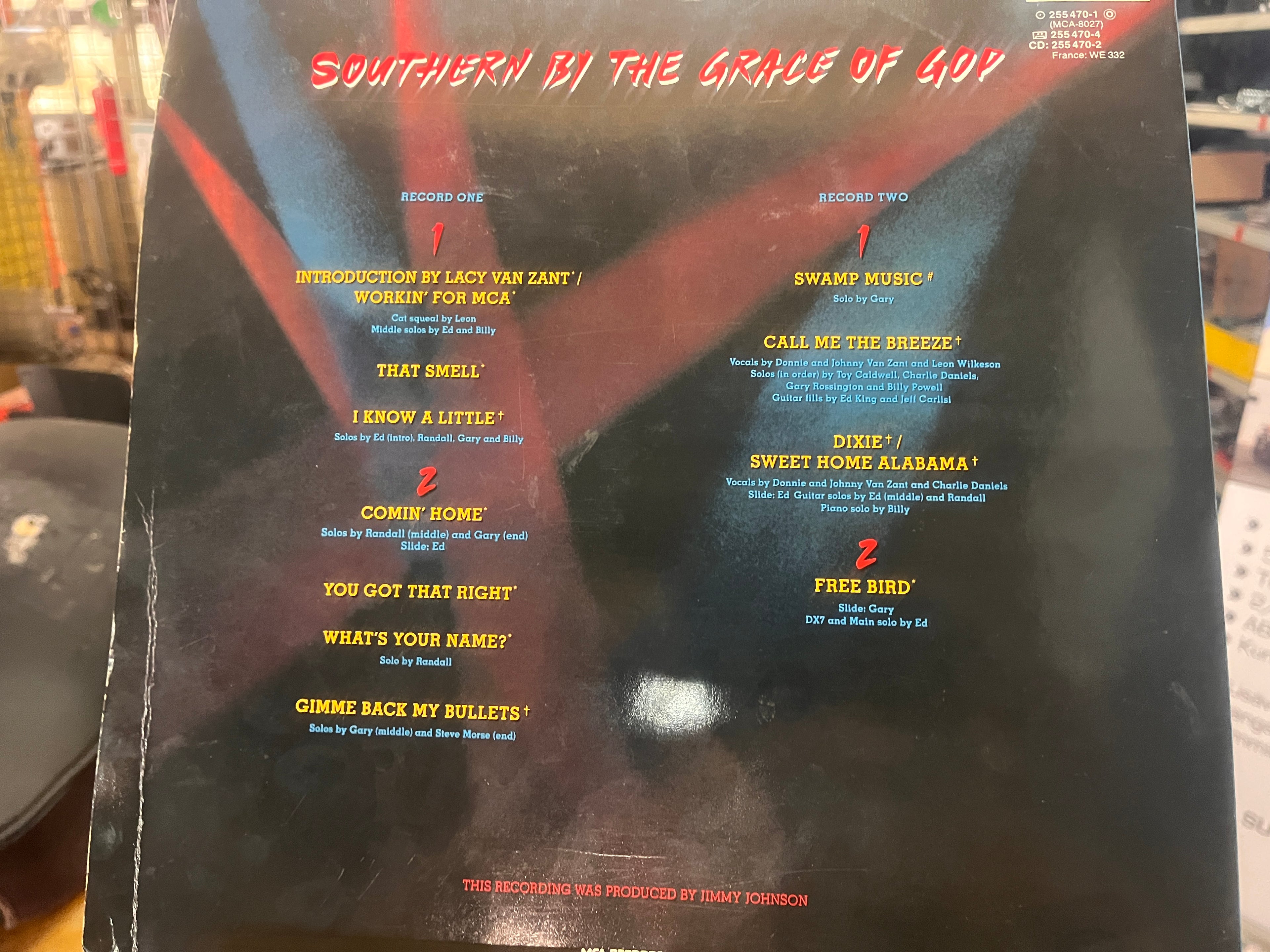 Lynyrd Skynyrd:Southern by the grace of God 2lp live